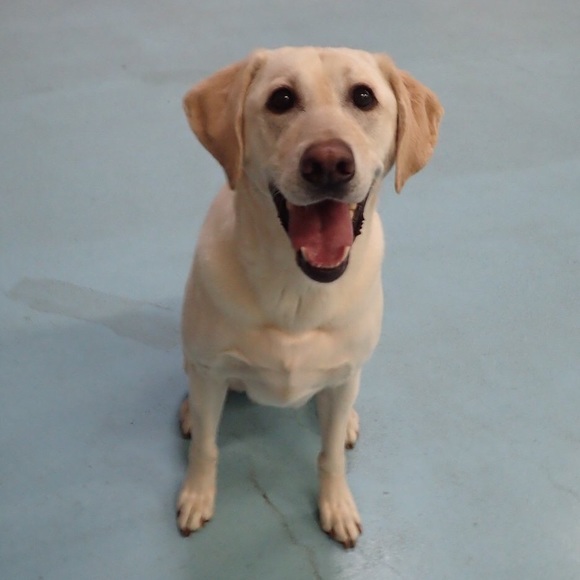 Meet your Posher, Pam - Picture 3 of 3